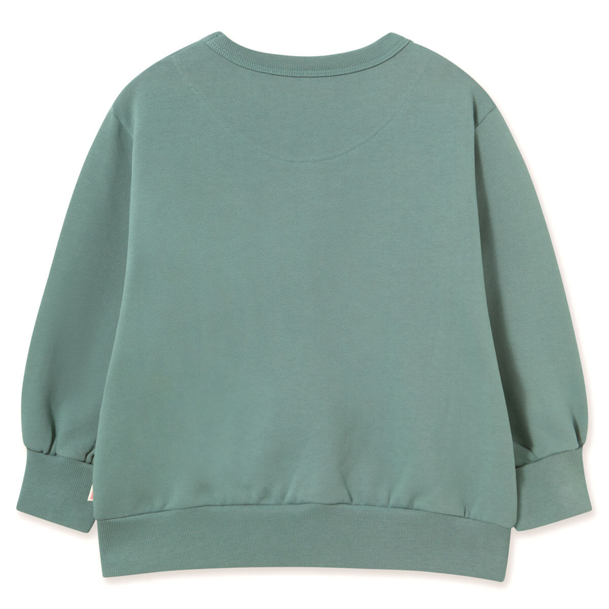 Sweat-shirt en coton bleu sarcelle décontracté à motif deux chiens pour enfants, avec imprimé animal amusant, pour un usage quotidien (3-10 ans)