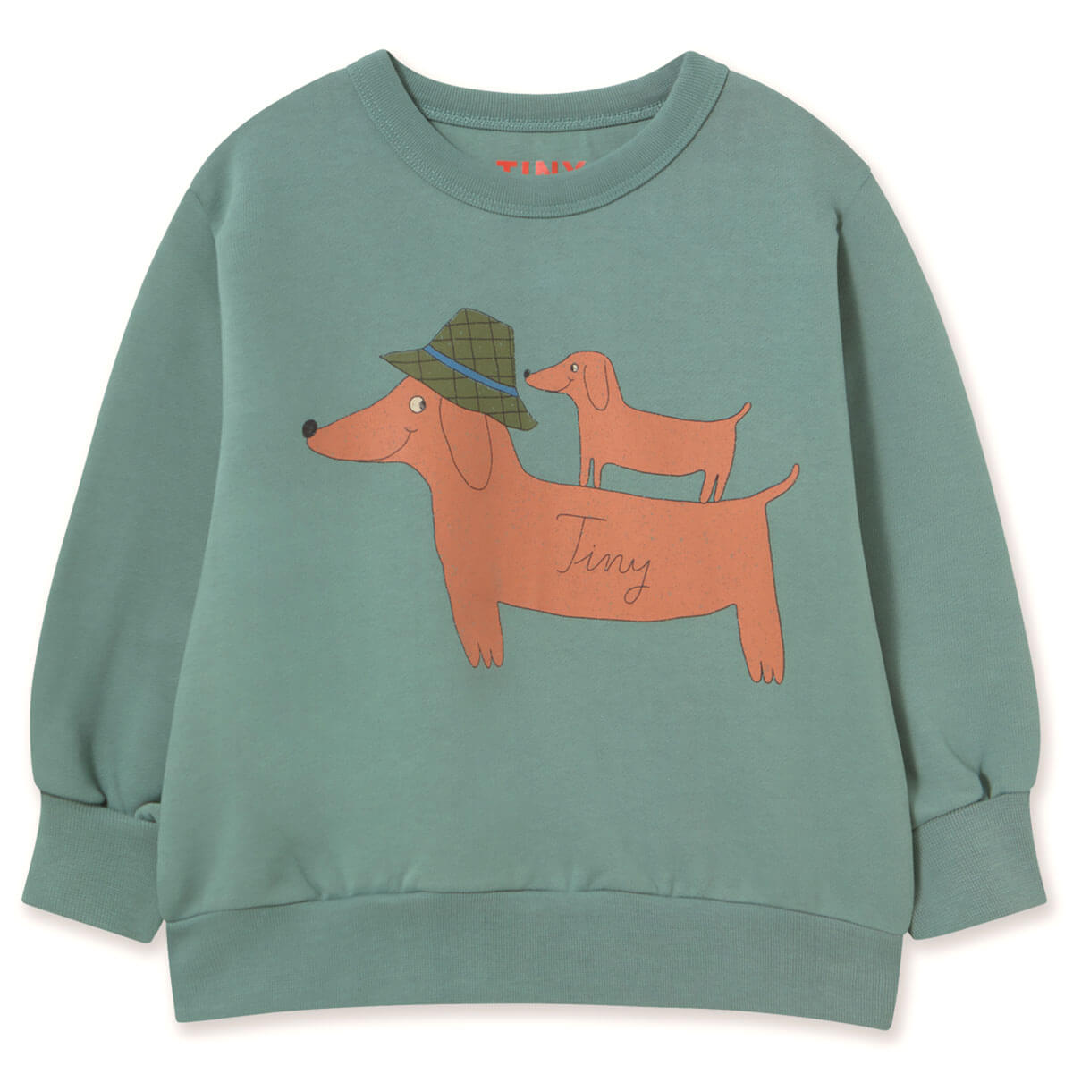 Sweat-shirt en coton bleu sarcelle décontracté à motif deux chiens pour enfants, avec imprimé animal amusant, pour un usage quotidien (3-10 ans)